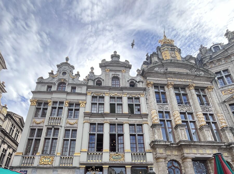 La Rose on the Grand-Place, its gable and gilded upper storeys above the terrace, with the taller front of the Maison des Brasseurs to the right.